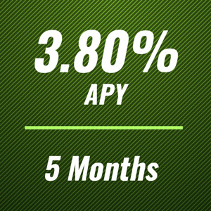3.80% APR for 5 months CD