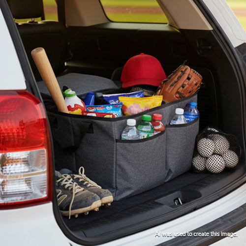Free CM Bags Cooler and Trunk Organizer with new checking account opening at The Bank of Marion